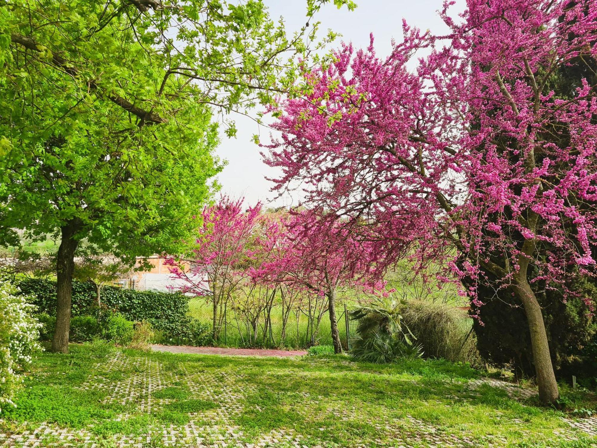 Fonte Nuova Il Parco Holiday - Locazione Turistica מראה חיצוני תמונה
