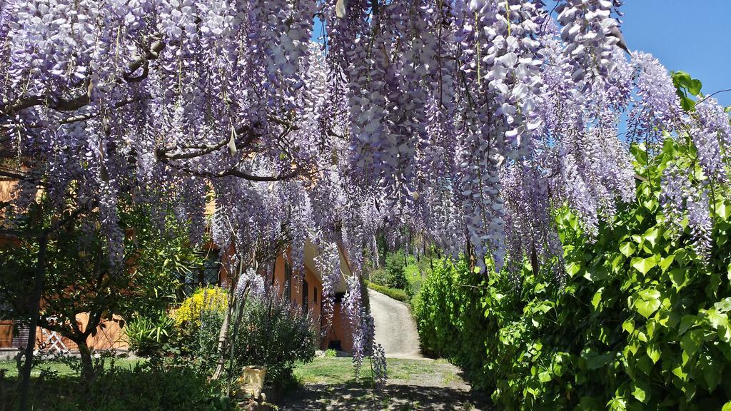 Fonte Nuova Il Parco Holiday - Locazione Turistica מראה חיצוני תמונה