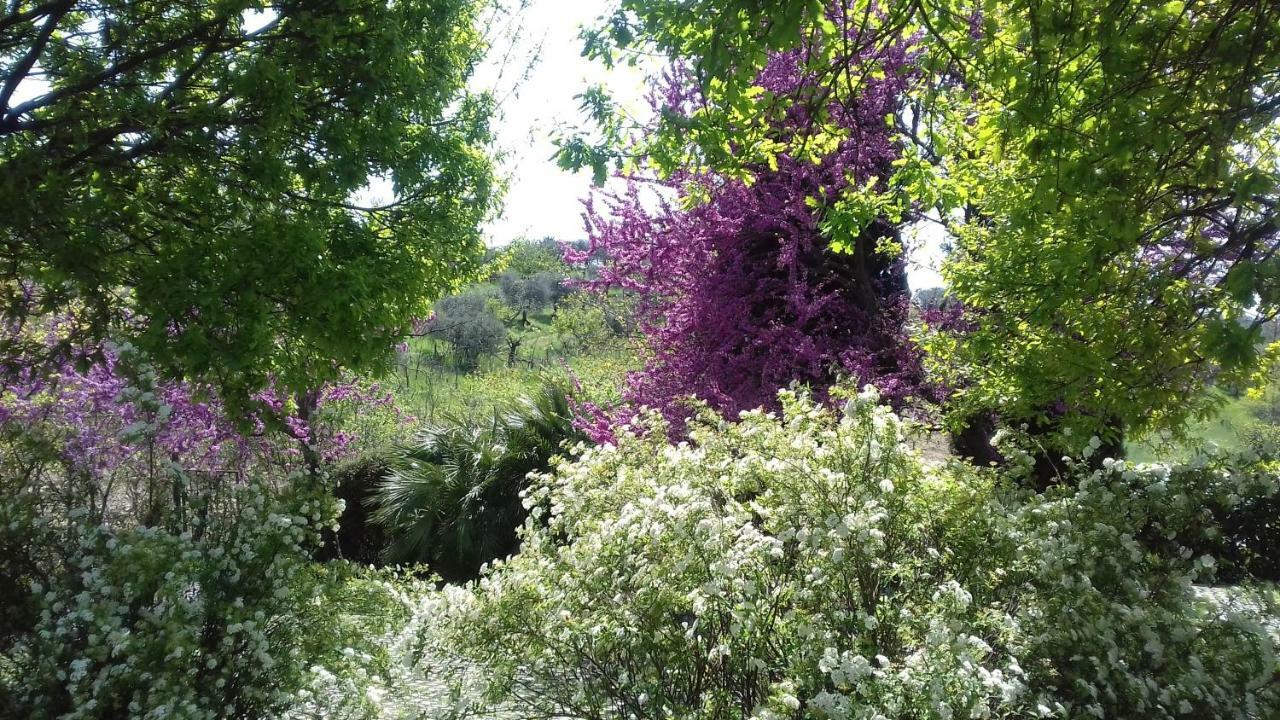 Fonte Nuova Il Parco Holiday - Locazione Turistica מראה חיצוני תמונה